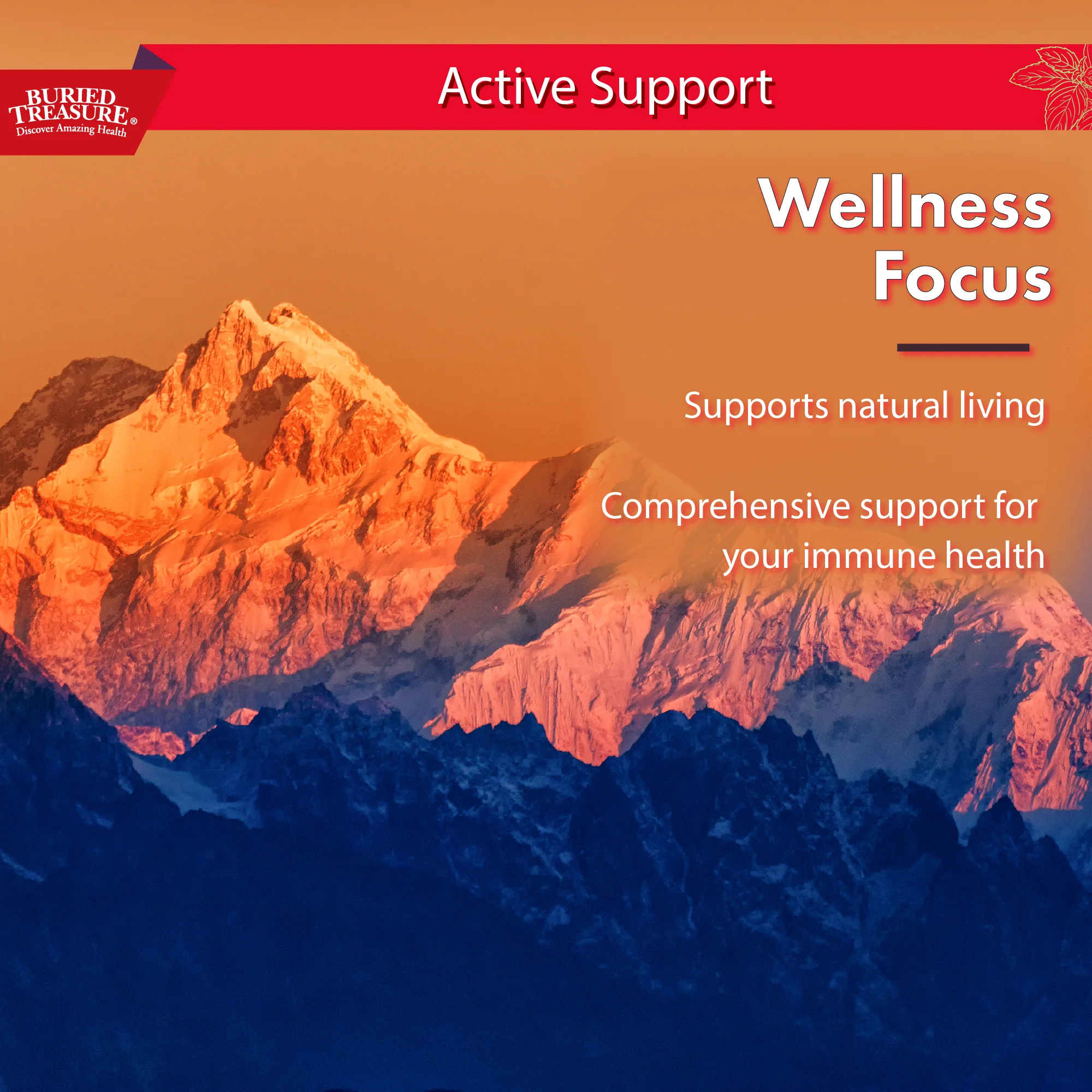 Buried Treasure Liquid Nutrients® ACF Extra Strength – Liquid Immune Support with Vitamin C, Zinc & Botanical Extracts - Image 4