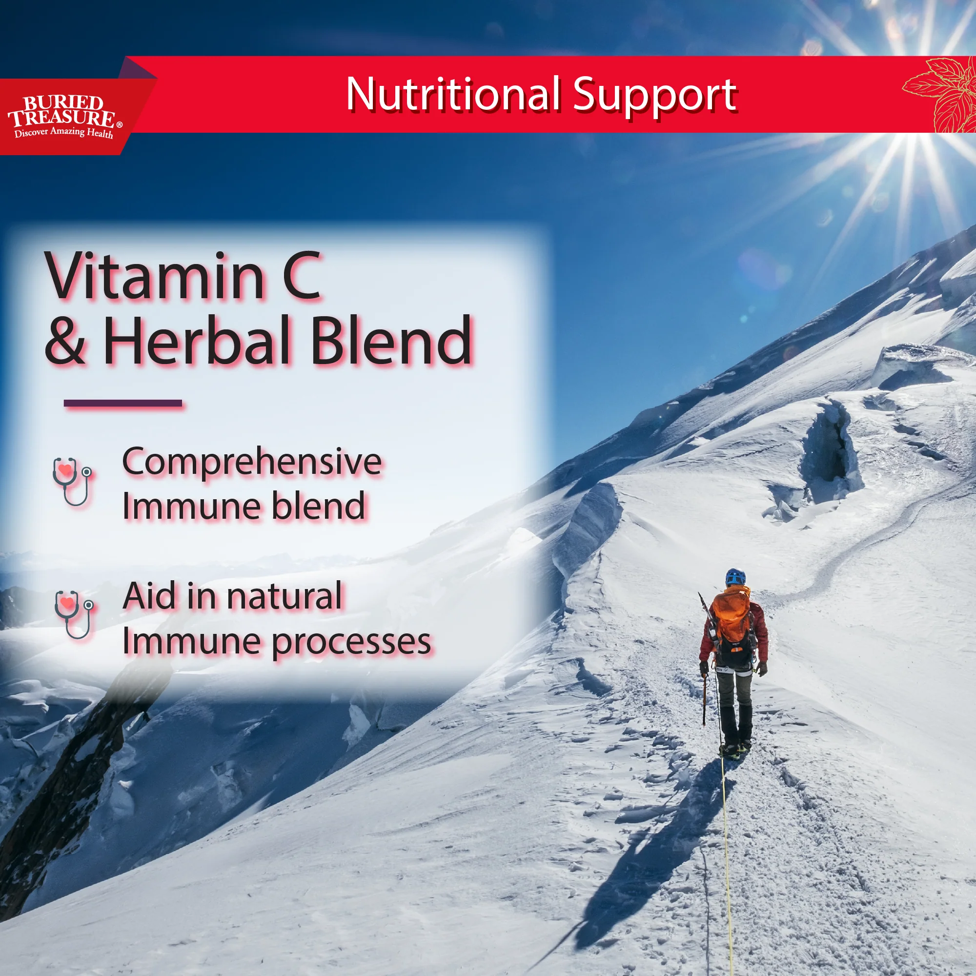 Buried Treasure Liquid Nutrients® ACF Extra Strength – Liquid Immune Support with Vitamin C, Zinc & Botanical Extracts - Image 5