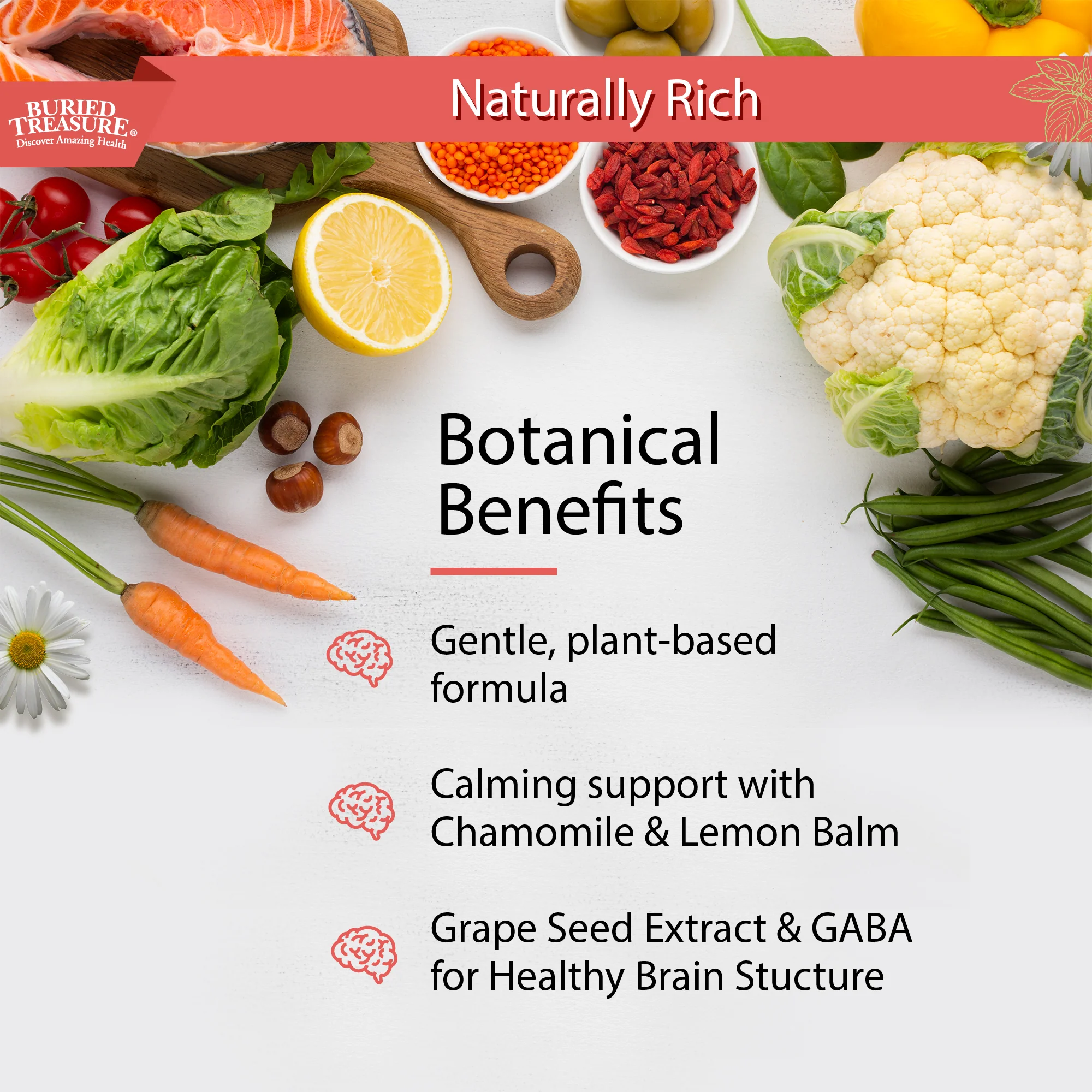 Added Attention – Liquid Supplement for Kids with DHA, B Vitamins & Phospholipids | Brain-Friendly Nutrients in a Natural Raspberry Flavor | 16 oz - Image 5