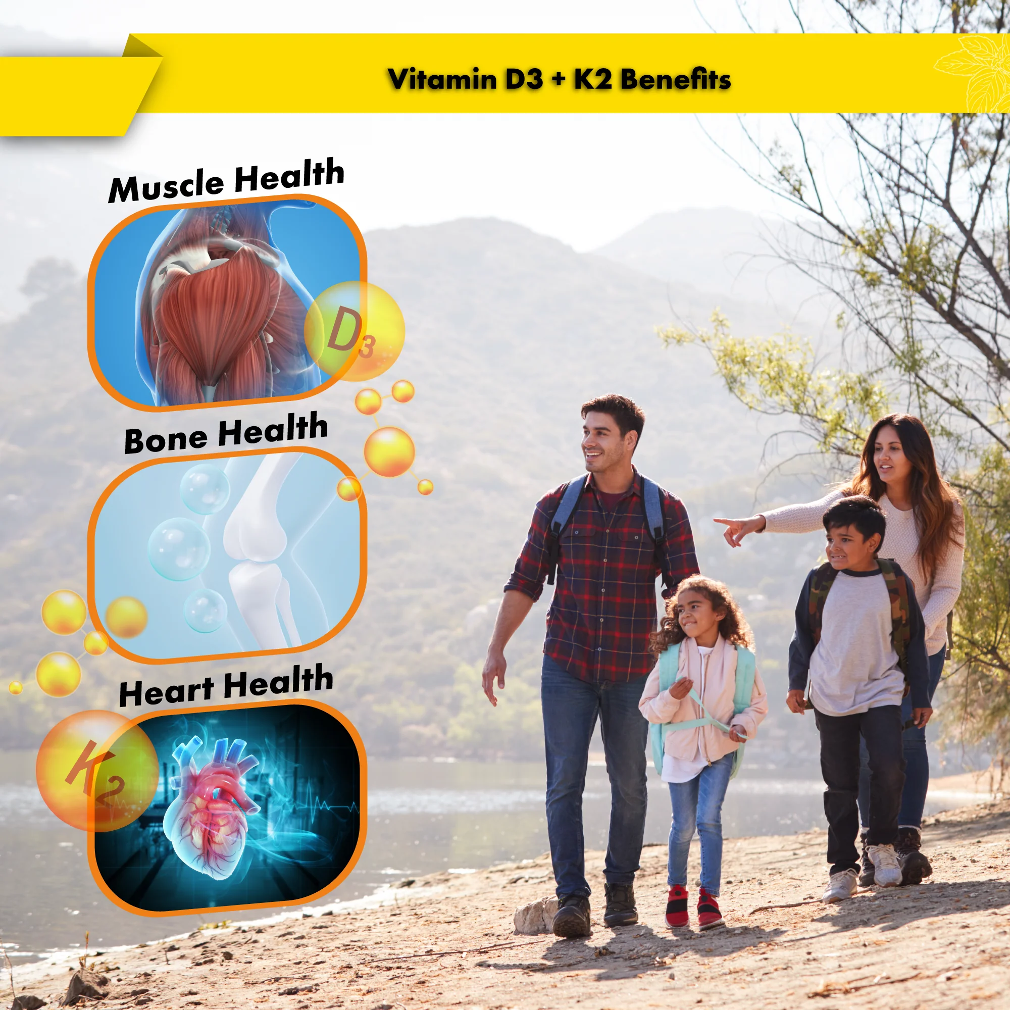 Buried Treasure D3 + K2 Liquid Drops (2 fl oz) - Image 4