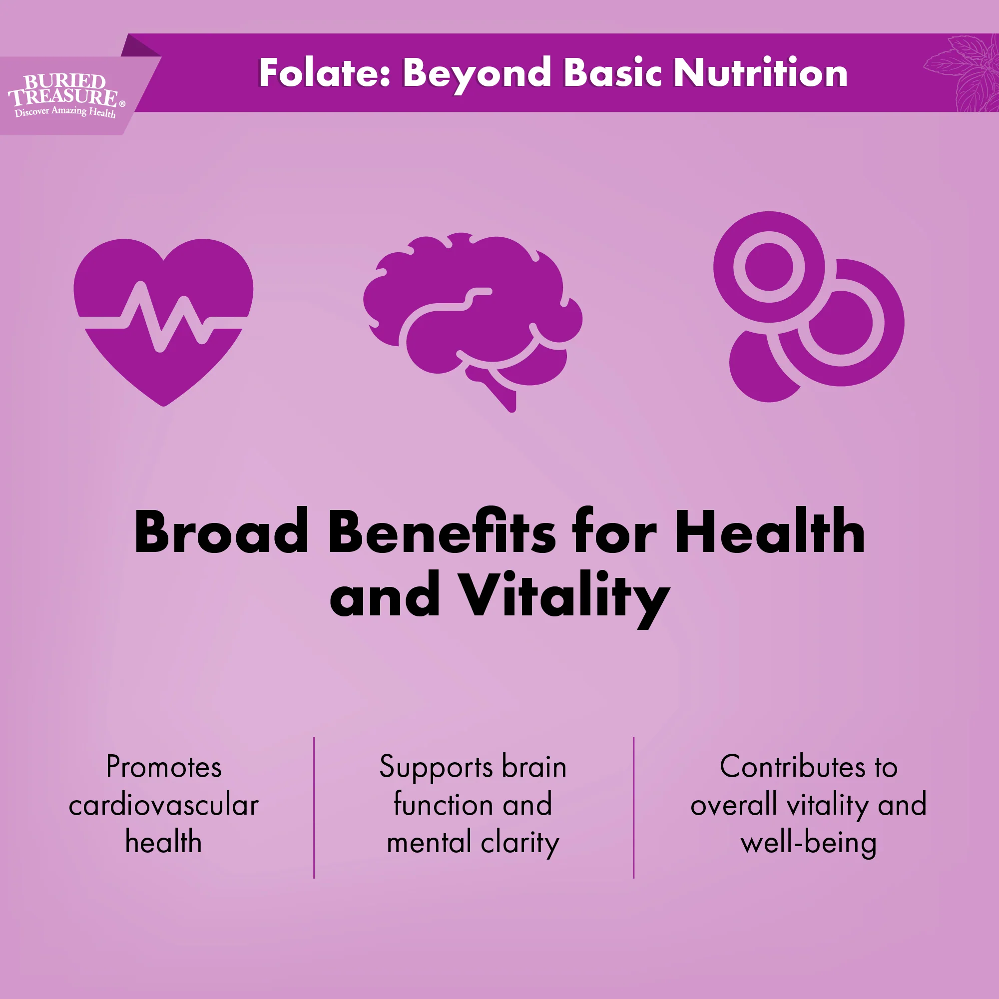 Folate Drops – Liquid Supplement with 120 Servings - Image 7