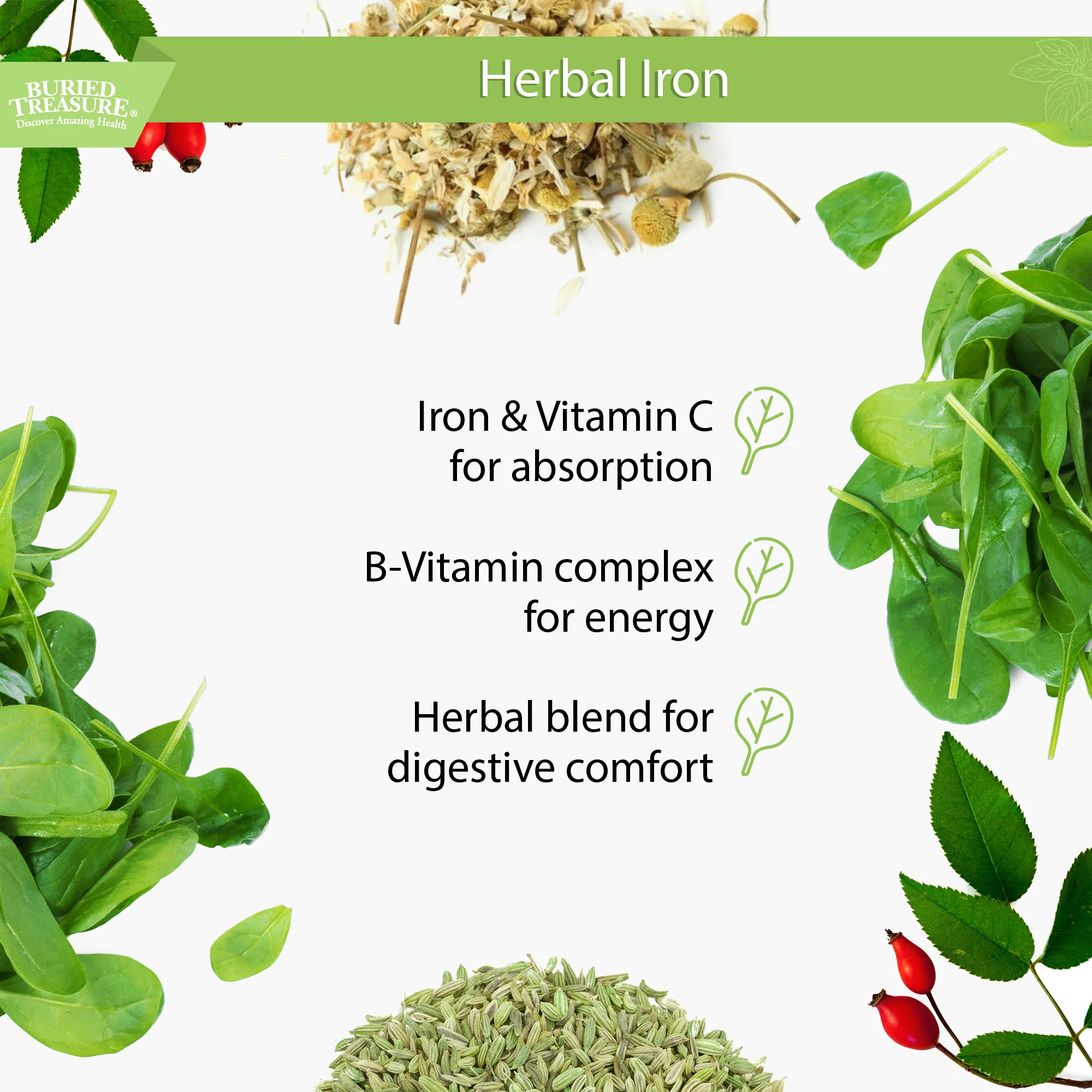 Herbal Iron – Liquid Iron Supplement with Vitamins & Herbs, 16 oz (48 Servings)amz - Image 8