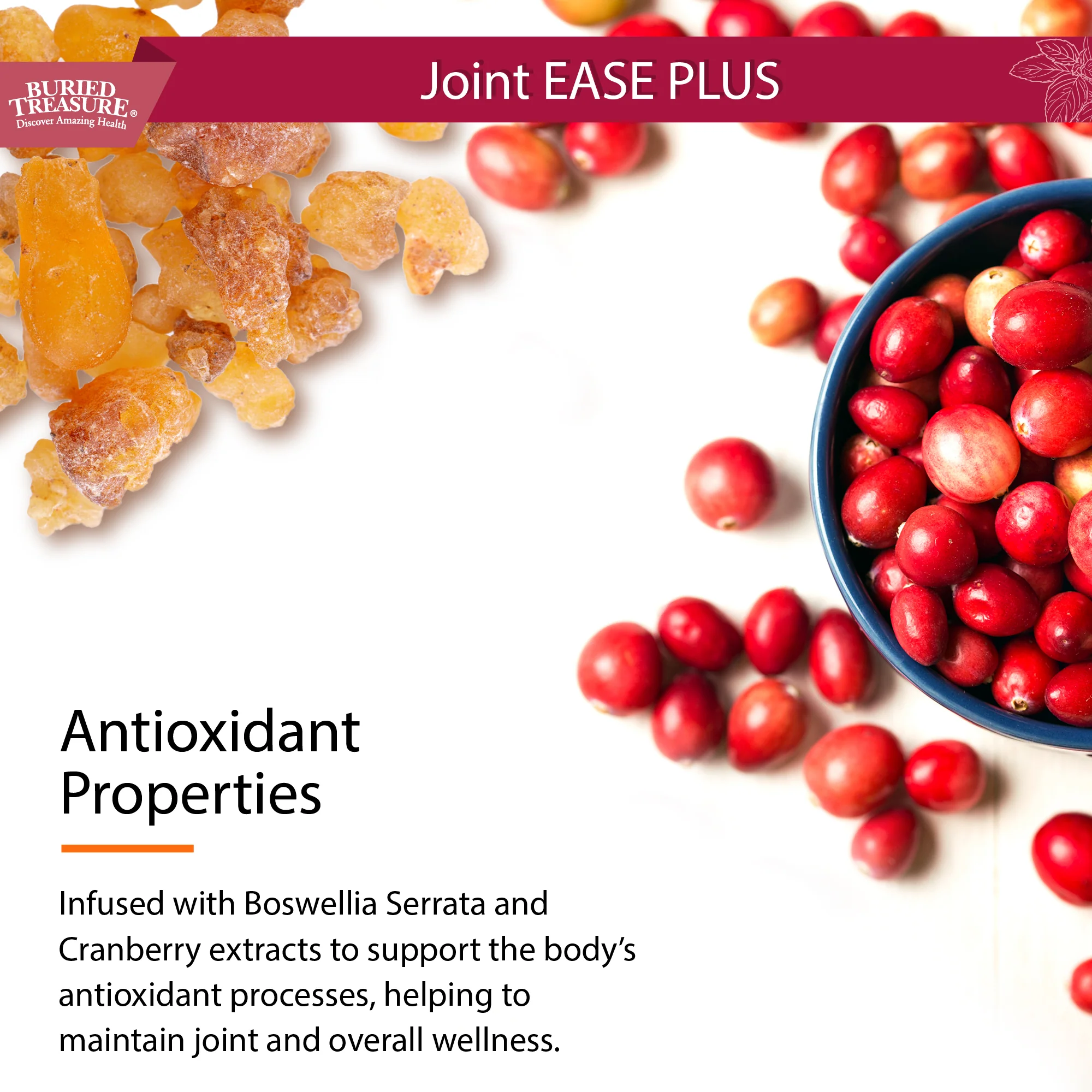 Joint Ease Plus – with Glucosamine, Chondroitin, MSM, and Turmeric, 16 fl oz - Image 5