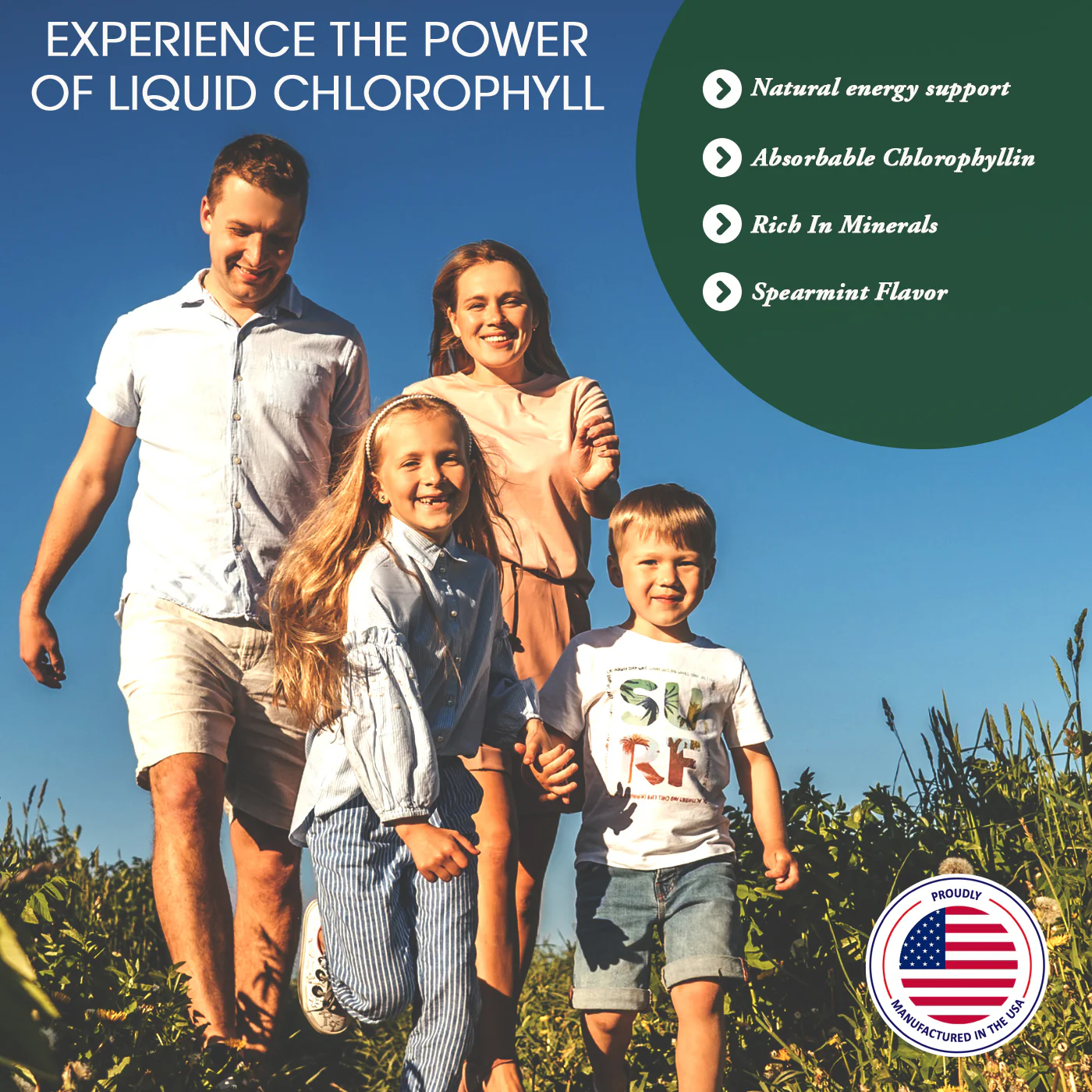 Liquid Chlorophyll – 100 mg Chlorophyll per Serving, 16 Servings - Image 4