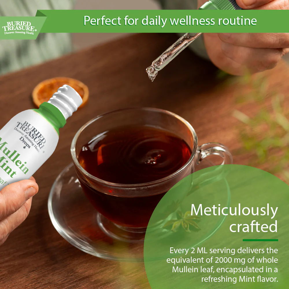 Buried Treasure Liquid Nutrients Mullein Drops with 200mg 10:1 Extract, Alcohol-Free Liquid Dietary Supplement - Image 3