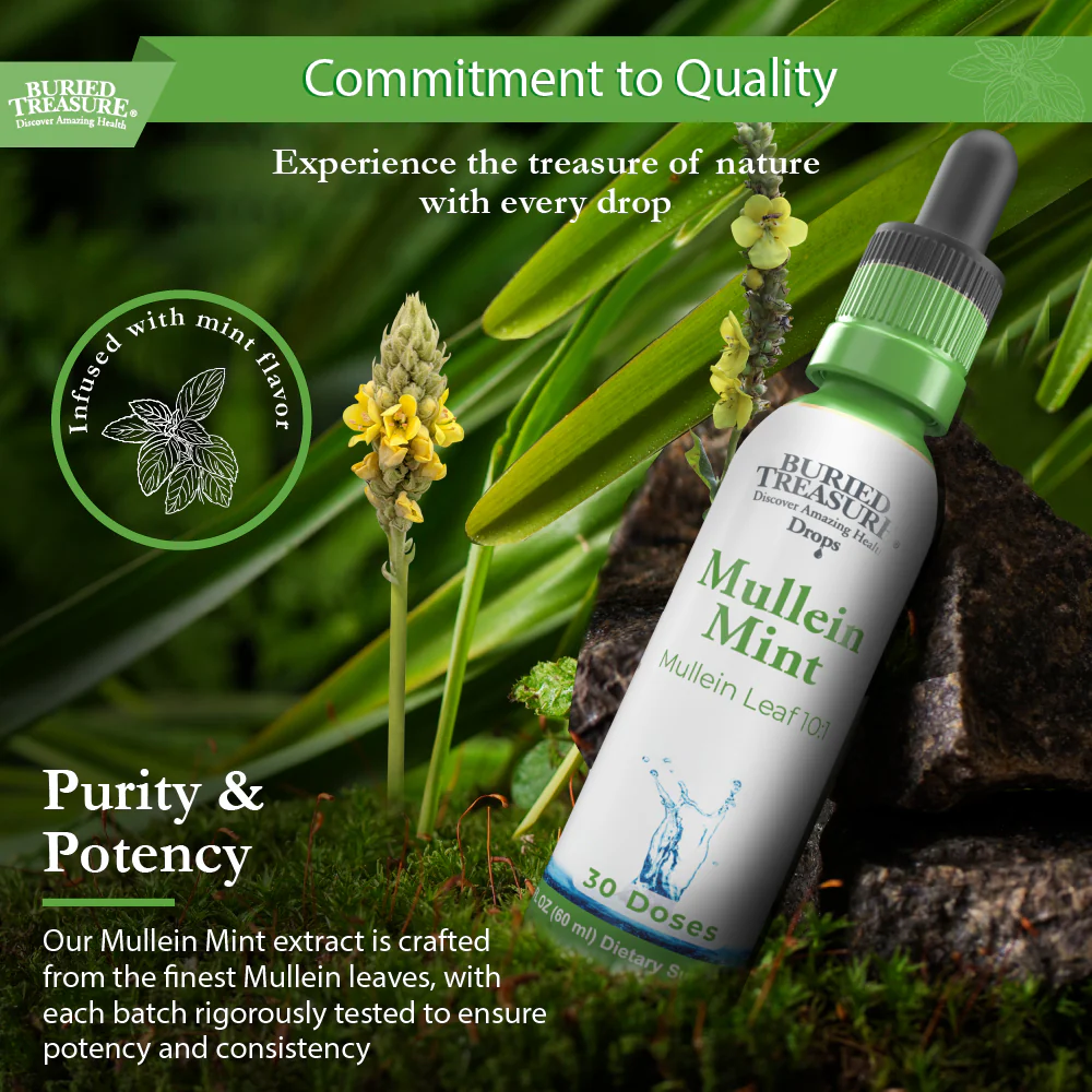 Buried Treasure Liquid Nutrients Mullein Drops with 200mg 10:1 Extract, Alcohol-Free Liquid Dietary Supplement - Image 6