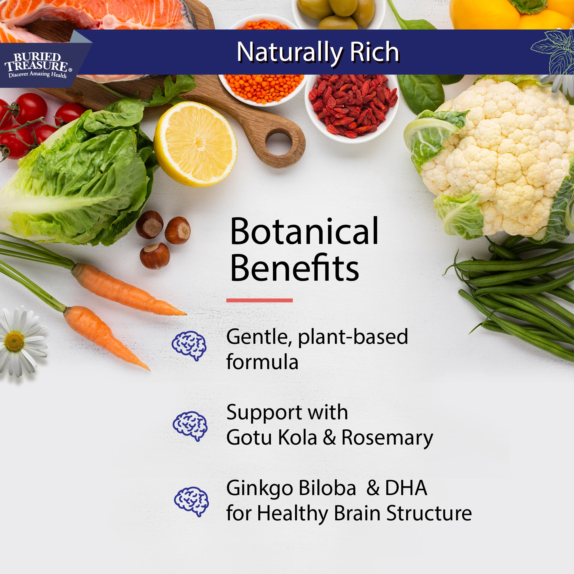 Neuro Nectar Liquid Brain Nutrition - Supports Cognitive Function, Mental Clarity, and Focus with B-Vitamins, DHA Omega 3, Ginkgo Biloba, and Herbal Extracts - 16 oz - Image 3